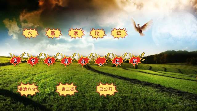 澳门彩,揭秘49/13的数字游戏与概率分析4949精准澳门彩最准确的下载