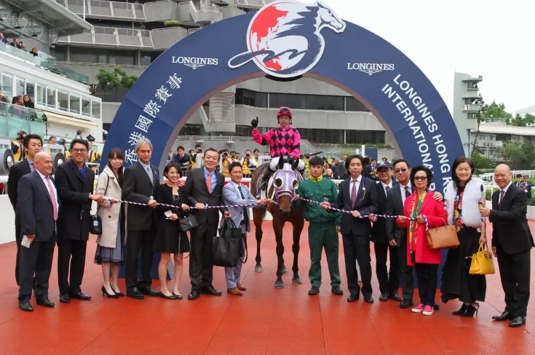 探索香港马会资料，历史、运营与影响马会资料免费长期公开