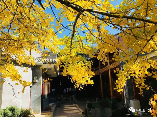 探索视觉盛宴，一品堂图库的魅力之旅一品堂图库免费资料大全最新版本