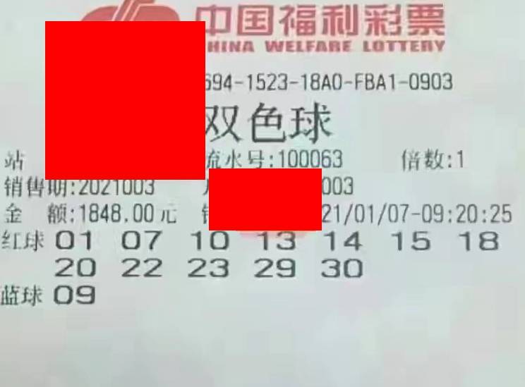 今晚特马揭秘，探索彩票背后的趣味与期待今晚开什么特马肖