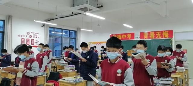 免费公开的二四六资料大全，解锁知识与技能的宝库二四六资料大全免费公开1一150