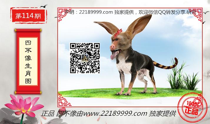 探索正版四不像吧的独特魅力,从盗版到正版的文化变迁正版四不像吧135期图