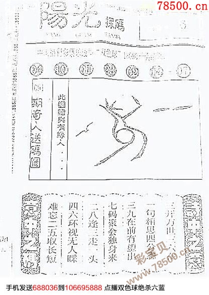 阳光探码图全图的奥秘与魅力阳光探码图全图2021年49期