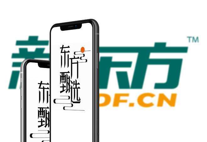 东方甄选，新时代的文化直播电商先锋东方甄选是谁的