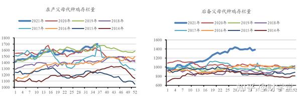 探索农业新知,中国蛋鸡信息网下载安装指南中国蛋鸡信息网鸡蛋价