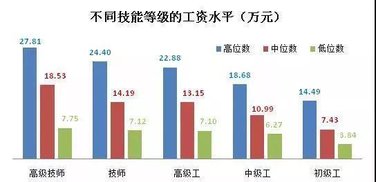 揭秘中国采招网，工资待遇的深度剖析中国采招网工资待遇怎么样啊