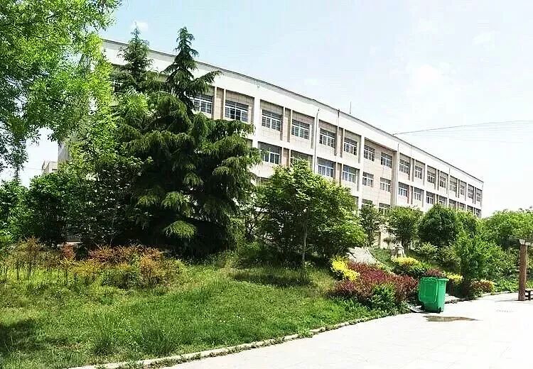 探索正版樱花校园,打造安全、纯净的虚拟学习环境正版樱花校园在哪下载
