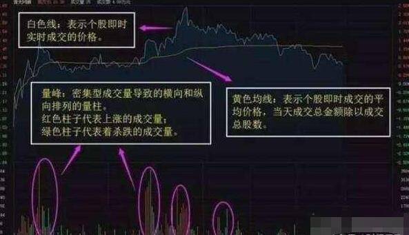 2025年5月31日 第10页