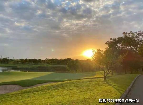 探索大乐透的奥秘,前后区分布走势图解析大乐透前后区分布走势图一百期