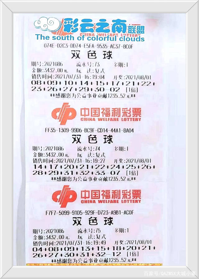 2025年6月1日 第15页