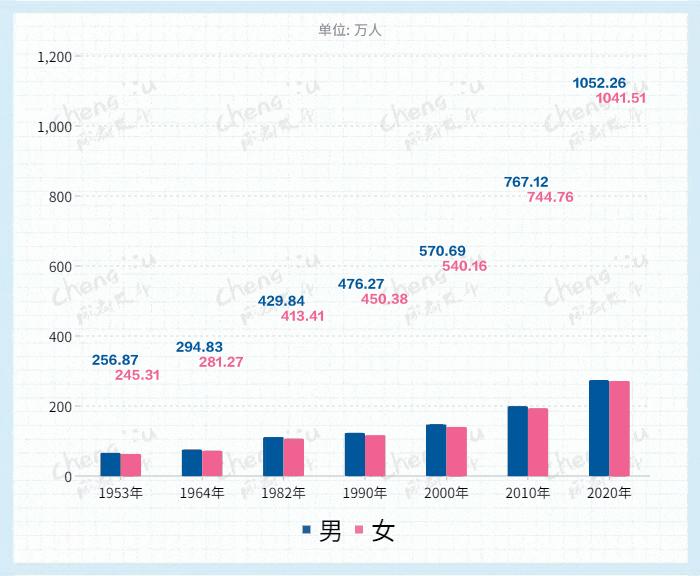 2019年回顾与展望，福利彩票最新走势图深度解析2000年福利彩票号码