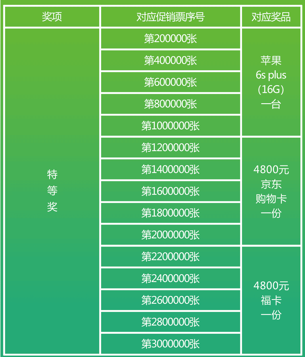 2025年6月2日 第7页