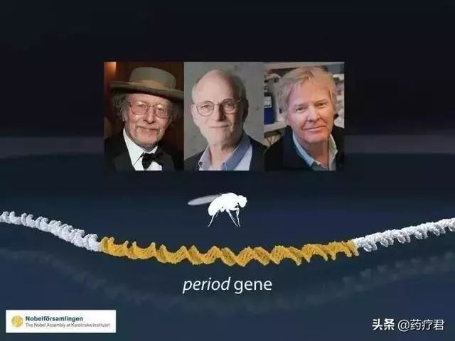 澳门六叔，揭秘何为最佳公开奖澳门六叔最新现状